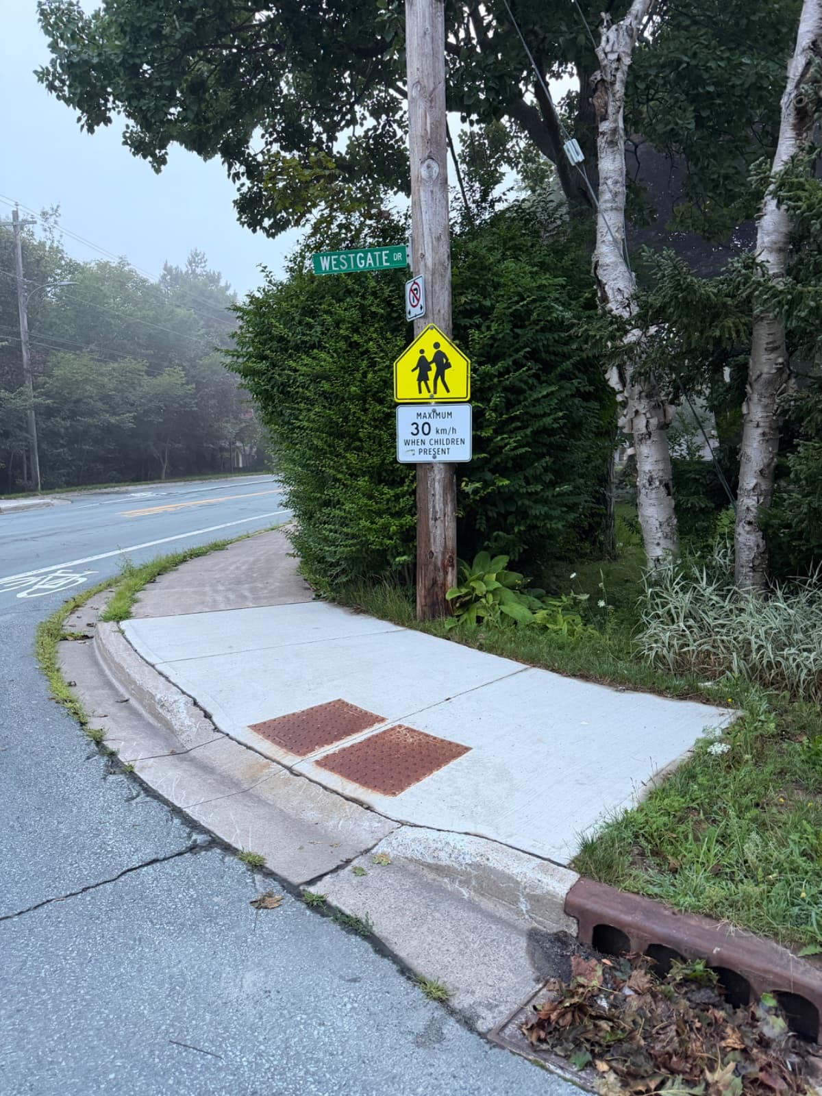 Bush blocking traffic